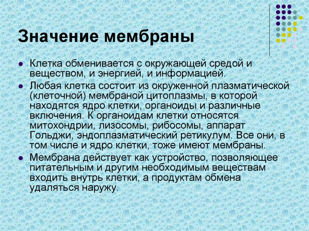 Значение мембраны