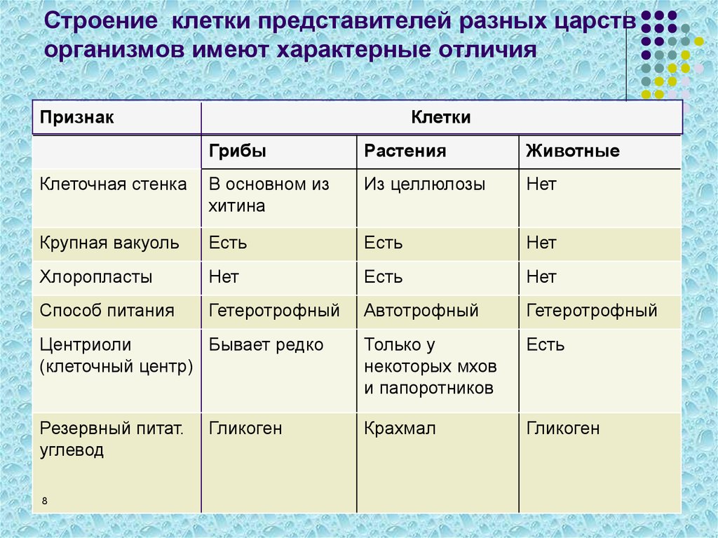 Признаки царств организмов