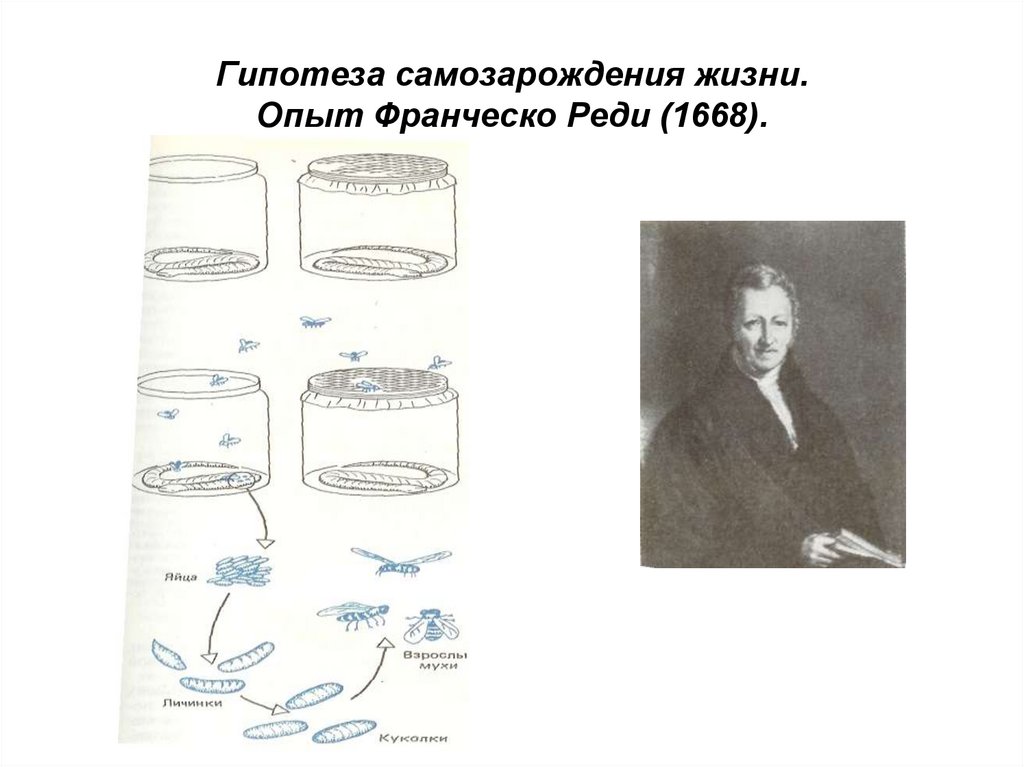 Теория самозарождения жизни на земле презентация