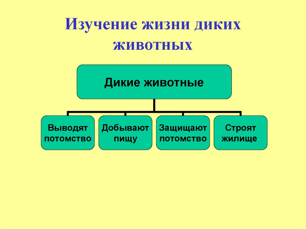 Исследования жизни