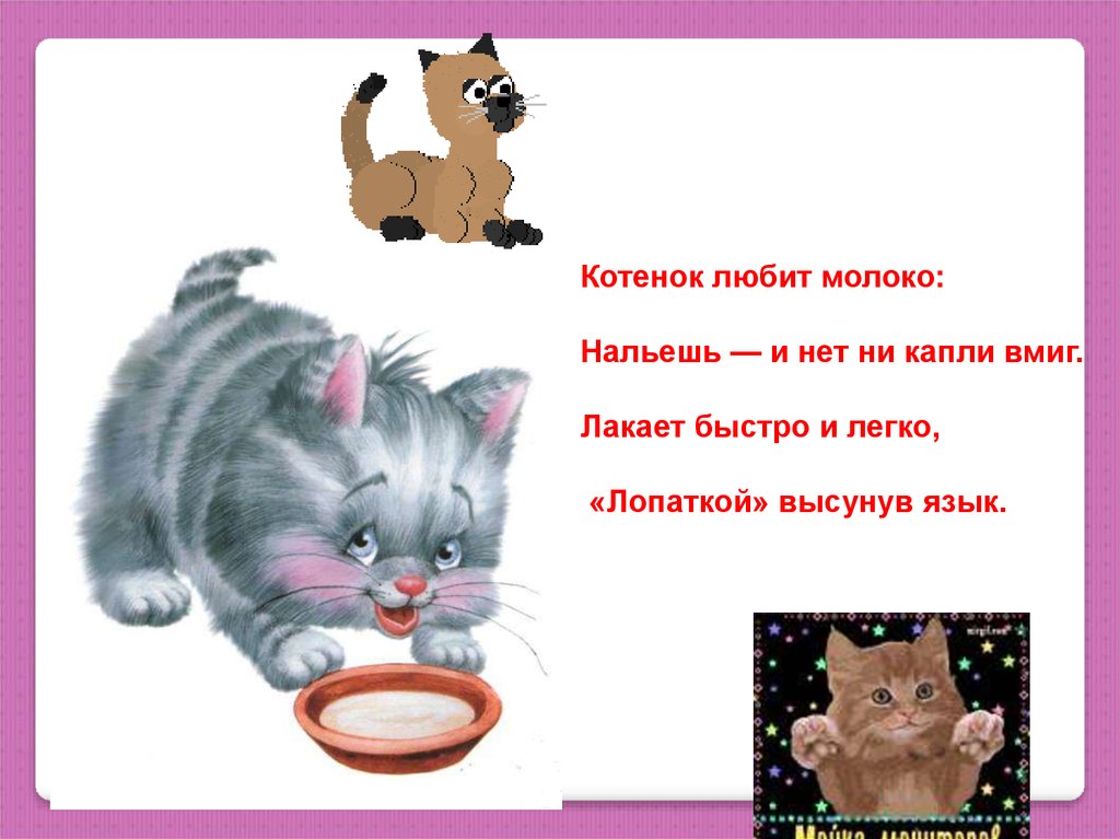 Котенок лакает молоко схема предложения