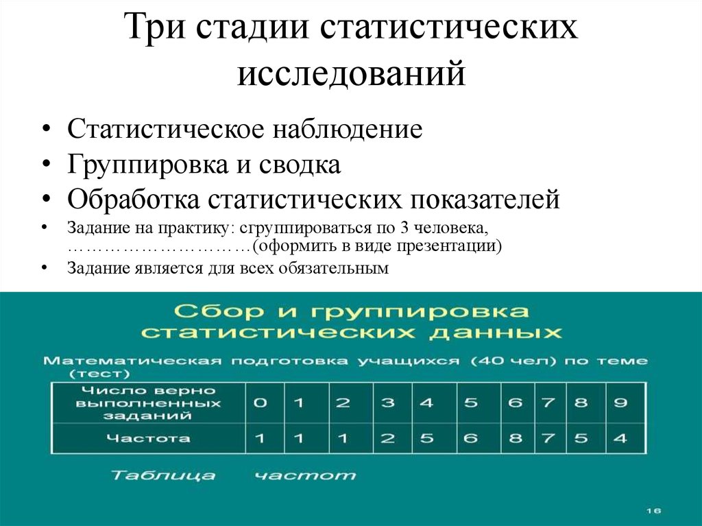 План статистического исследования включает