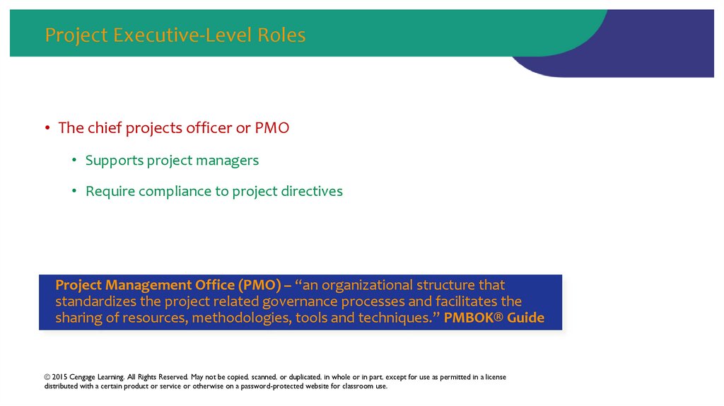 Project Executive-Level Roles