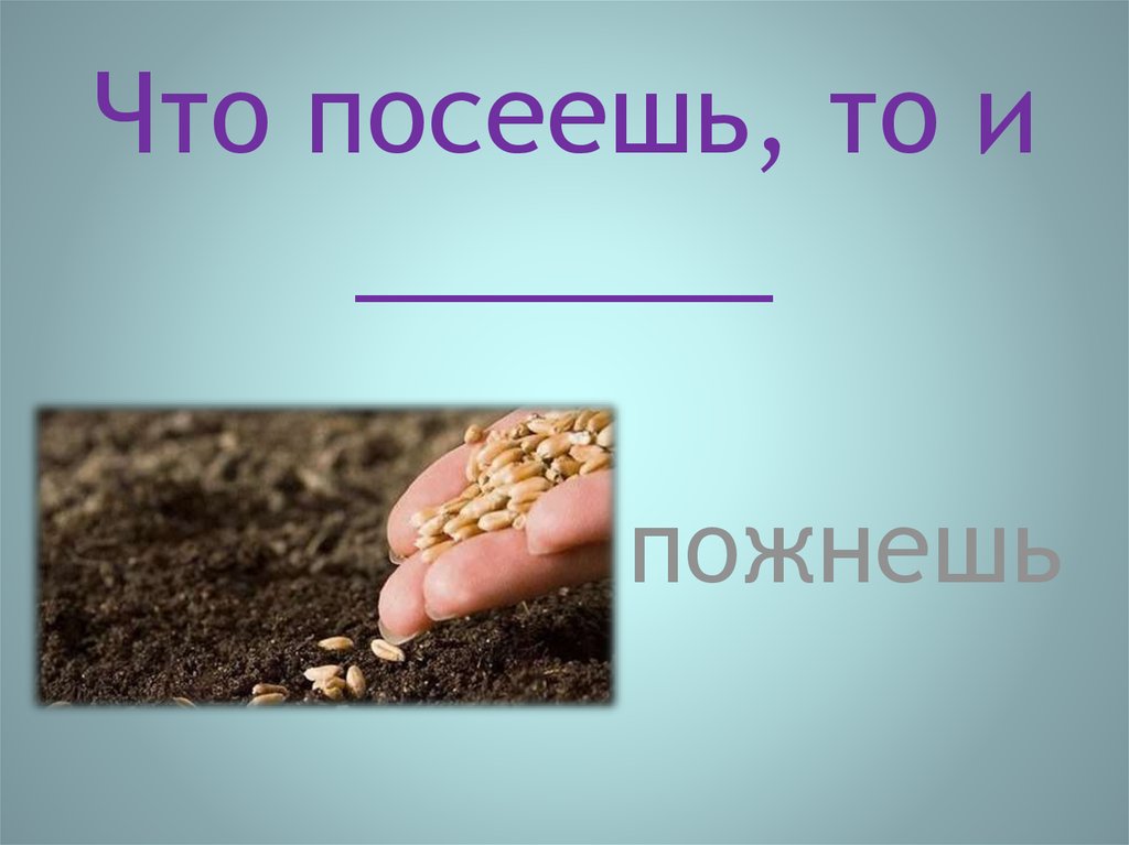 Что посеешь. Что посеяли то и собрали ,.