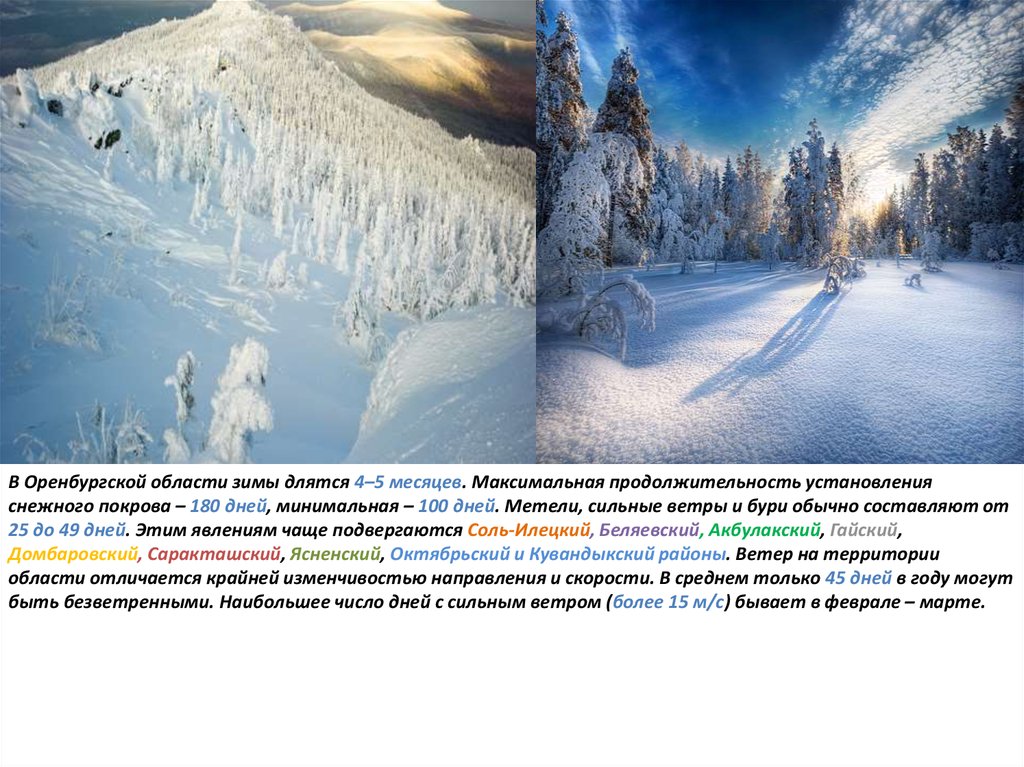 Сколько длится зимнее. Оренбургская область зимой. Зима в Оренбургской области. Природа Оренбургской области зимой. Установление снежного Покрова.