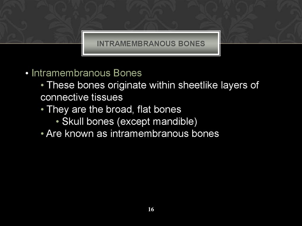 Intramembranous Bones