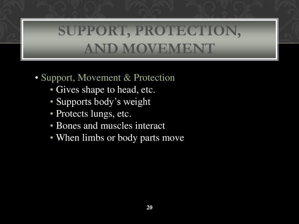 Support, Protection, and Movement