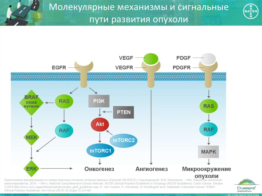 Молекулярный путь. Таргетная терапия механизм действия. Таргетная терапия схема. Механизм действия таргетных препаратов. Молекулярные механизмы опухолей.