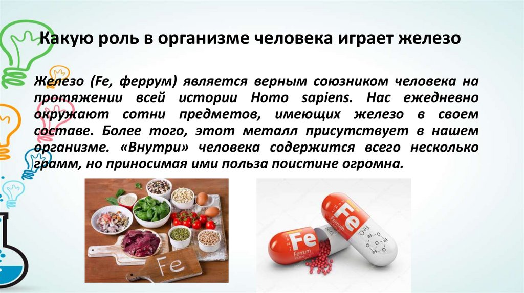 Какую роль играет в организме человека