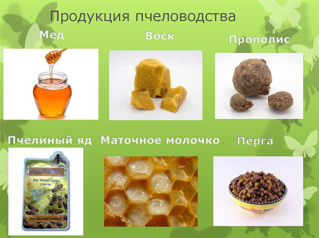 Перга и прополис. Продукты пчеловодства. Название продуктов пчеловодства. Полезные продукты пчеловодства. Мёд и продукты пчеловодства.