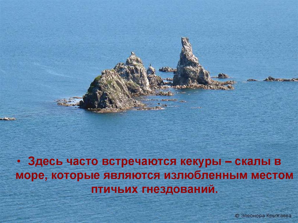 Дальневосточный морской заповедник презентация 4 класс