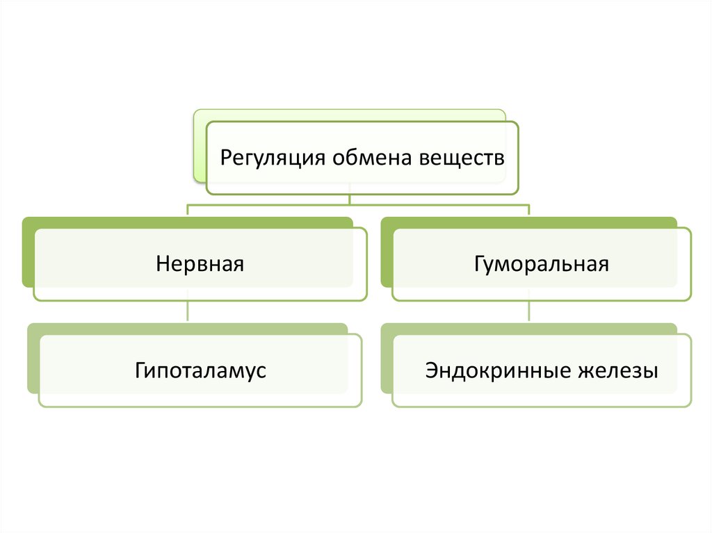 Регуляция обмена веществ и энергии презентация