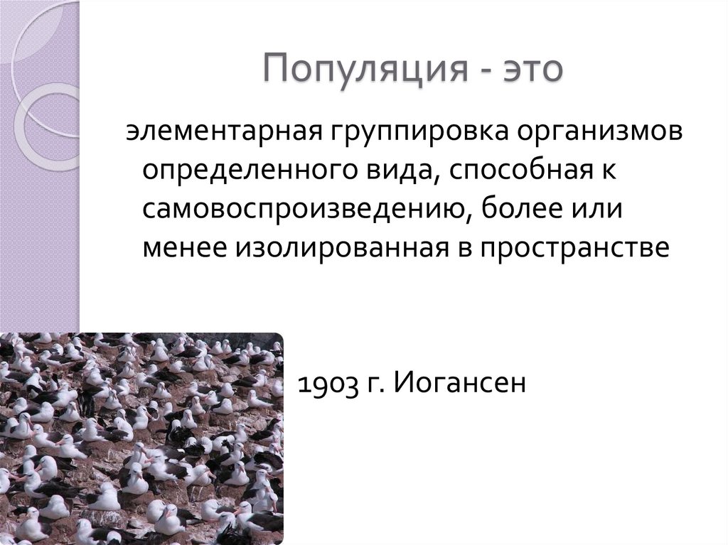 В популяции известны. Популяция это. Краевые популяции это. Изолированная популяция. Организм популяция.