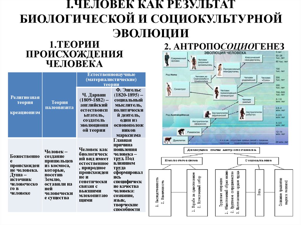 План по теме человек как результат биологической и социокультурной эволюции