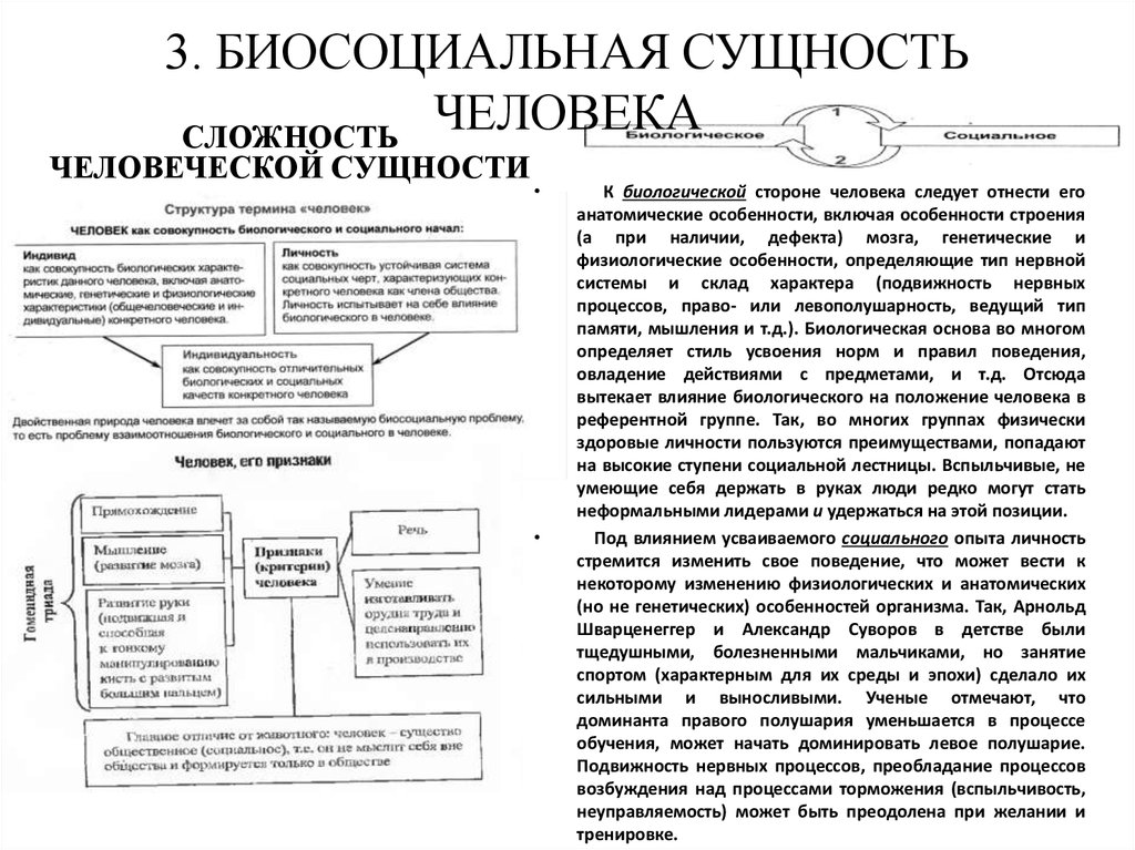 План биосоц сущность человека