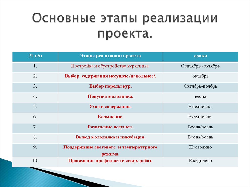 Сроки реализации проекта пример