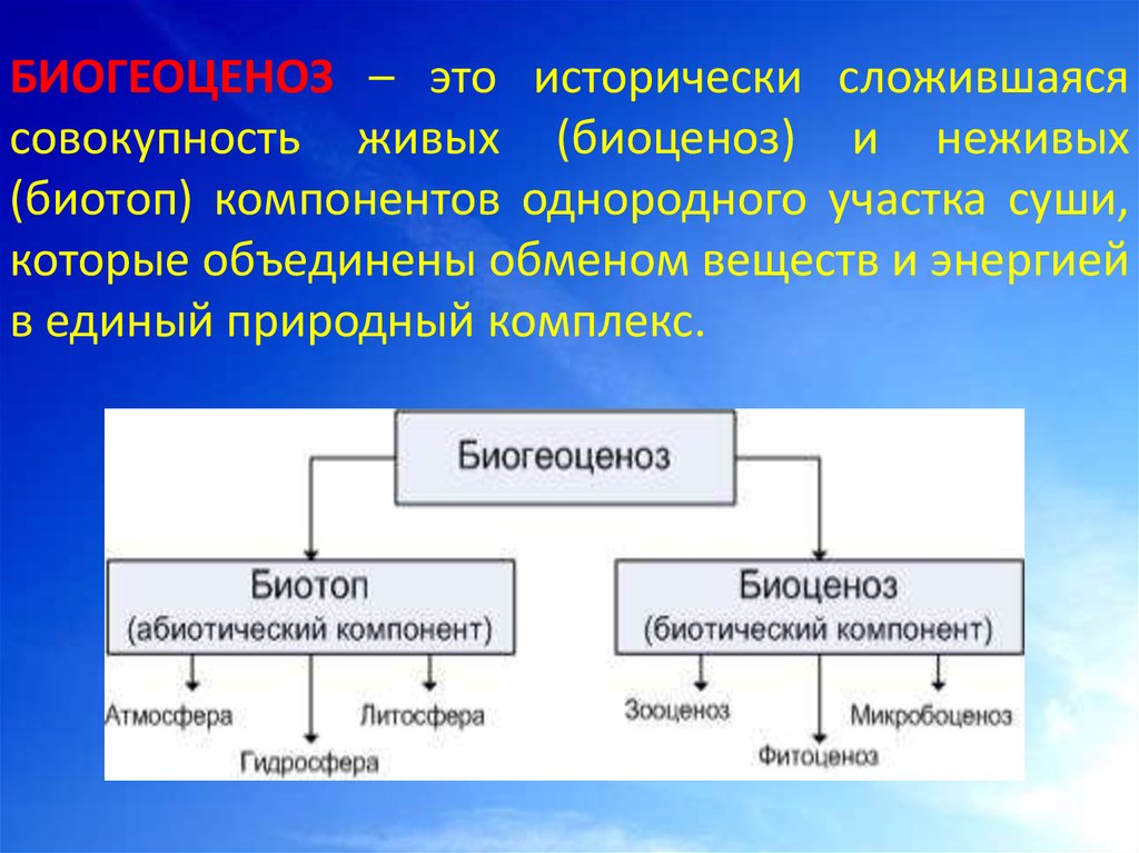 Естественный биоценоз виды. Виды биогеоценозов. Биогеоценоз и его компоненты. Биогеоценоз и биоценоз таблица. Абиотический компонент экосистемы это.