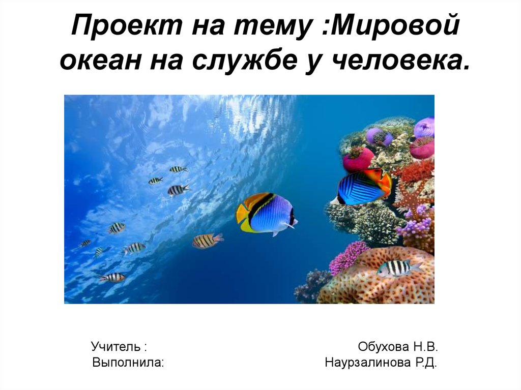 Каждый день уровень океанских огэ