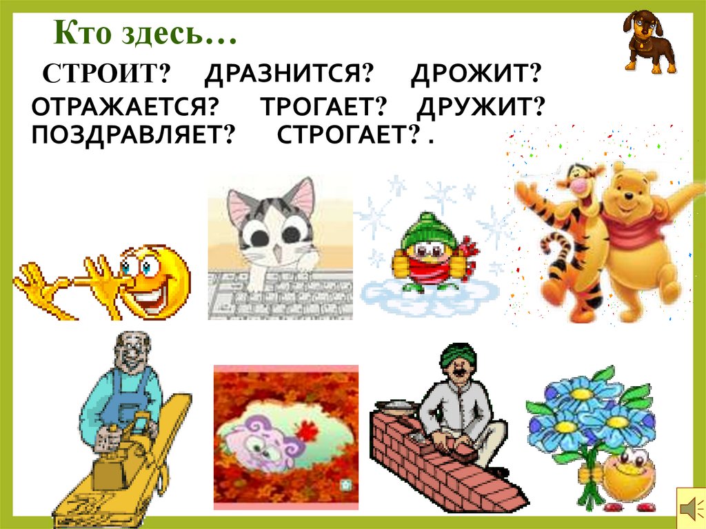 Др и тр презентация