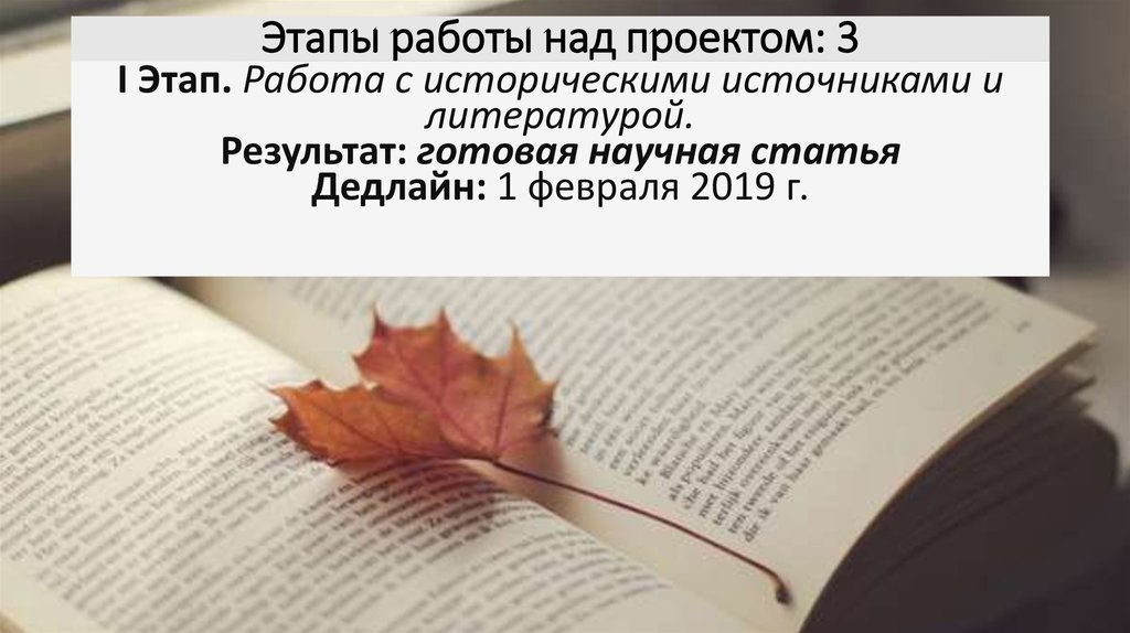 Этапы работы над проектом: 3