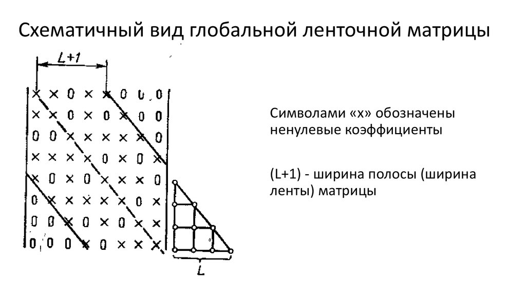 Схематичный вид глобальной ленточной матрицы