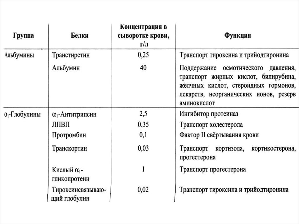 Основные белки сыворотки крови. Белки плазмы крови биохимия таблица. Белки плазмы крови биохимия функции. Функции белков плазмы крови биохимия. Белки плазмы крови схема.