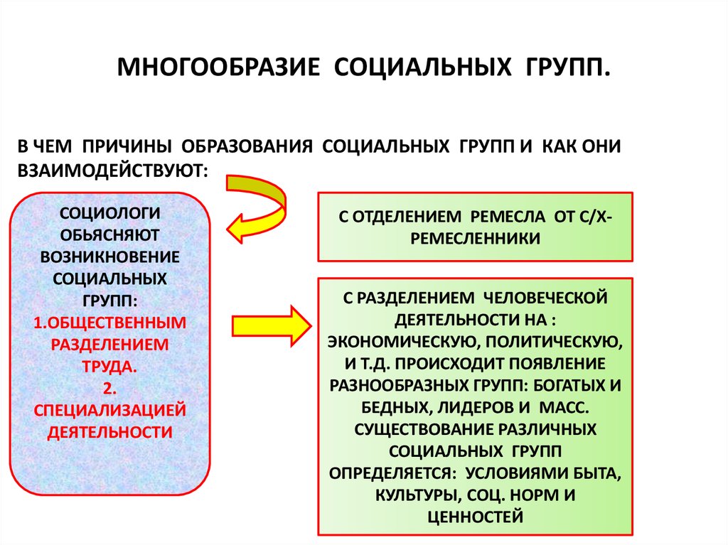 Различные социальные группы современного общества