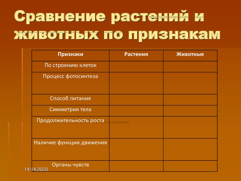 Отличительные признаки животных и растений таблица. Сравнение растений. Сходство растений и животных. Сравнение животных и растений. Общие признаки животных.