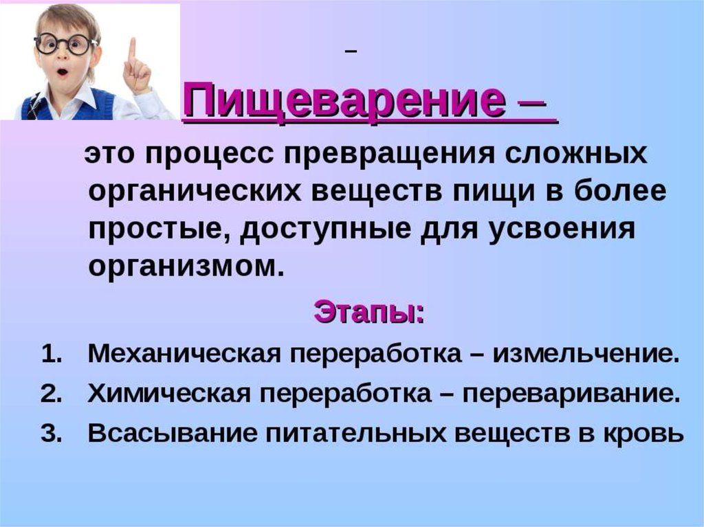 В результате пищеварения сложные органические вещества. Пищеварение определение. Пищеварение это в биологии. Пищеварение это процесс биология 6 класса. Пищеварение определение 6 класс.