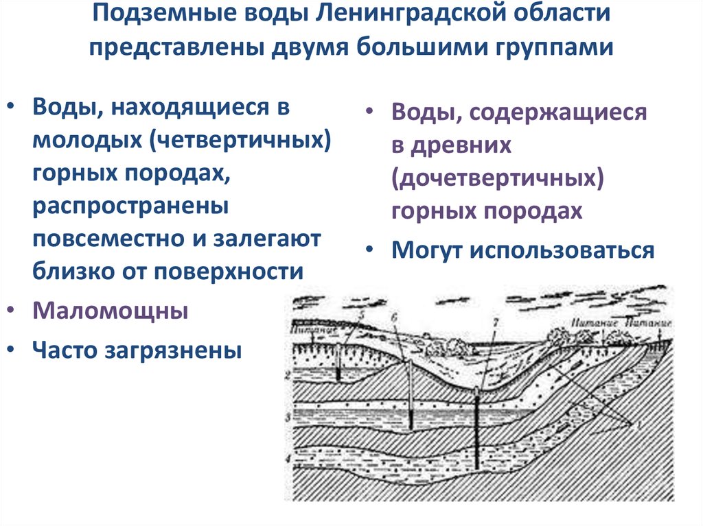Подземные воды Ленинградской области представлены двумя большими группами