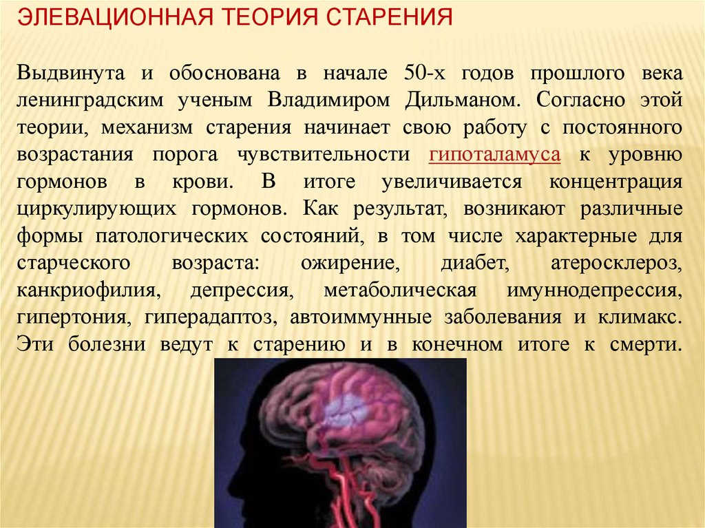 Молекулярные механизмы старения презентация