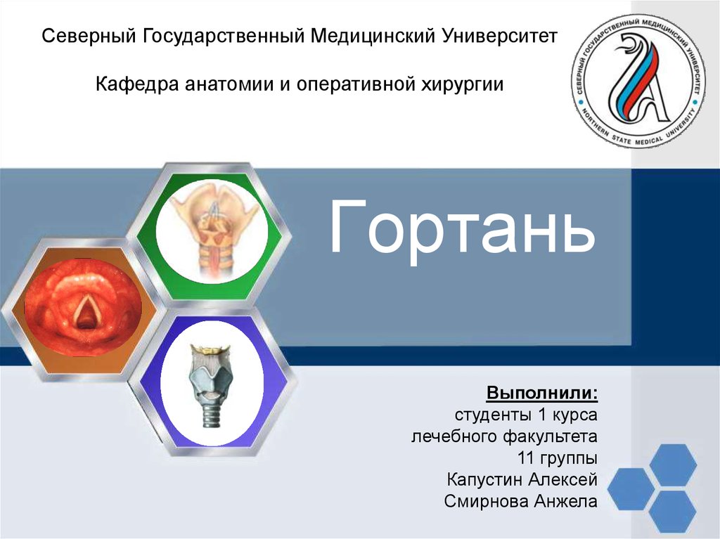 Шаблон презентации сгму