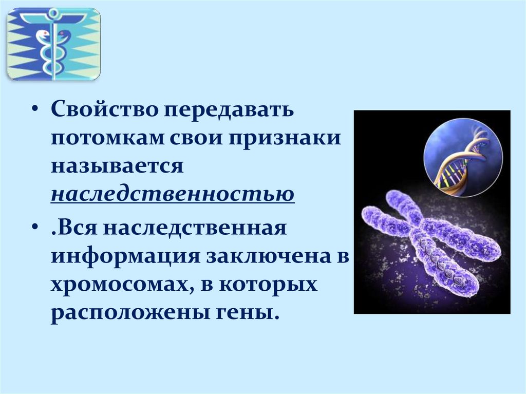 Причиной наследственных. Наследственные заболевания передающиеся половым путем. Наследственные заболевания. Болезни передающиеся половым путем.. Наследственные и врожденные заболевания, передаваемые половым путем. Хромосомы наследственная информация.