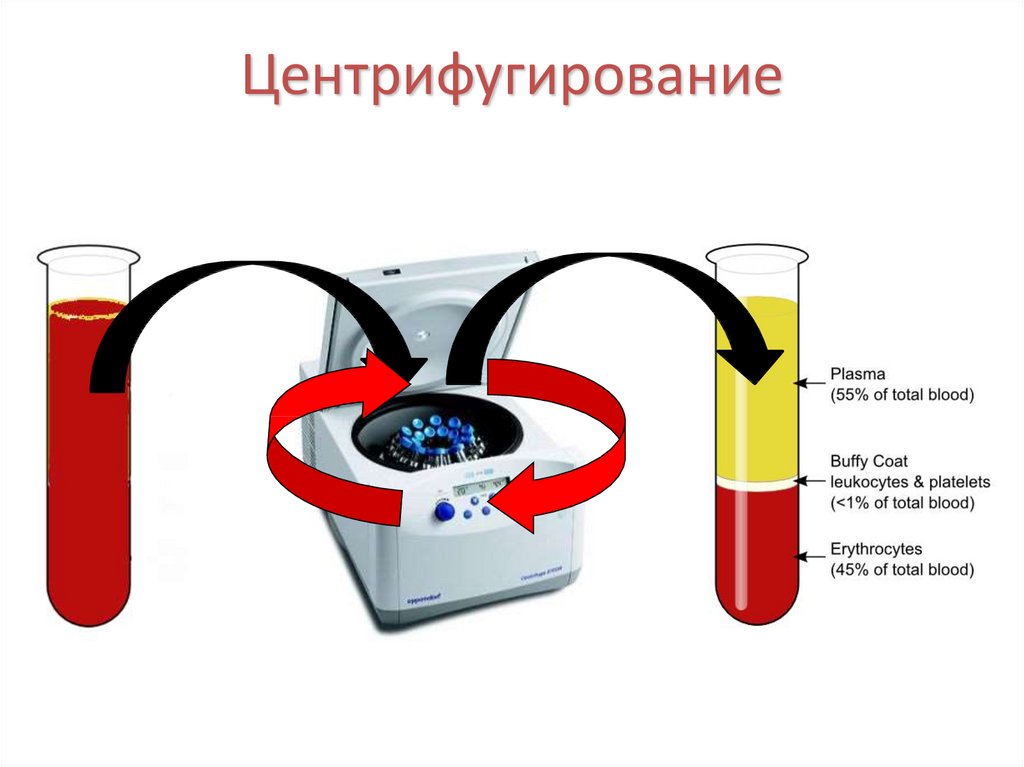 Центрифугирование в градиенте плотности