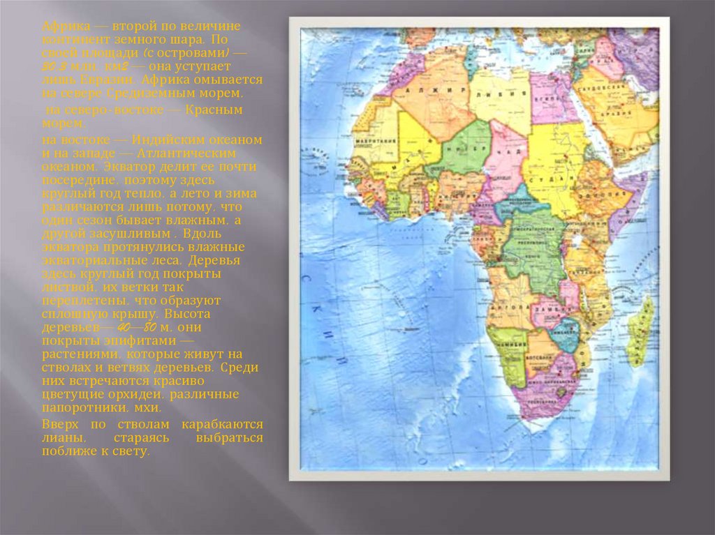 Общая характеристика Африки. Африка второй по величине материк. Общая характеристика Африки 11 класс. Пролив отделяющий Африку от Евразии.
