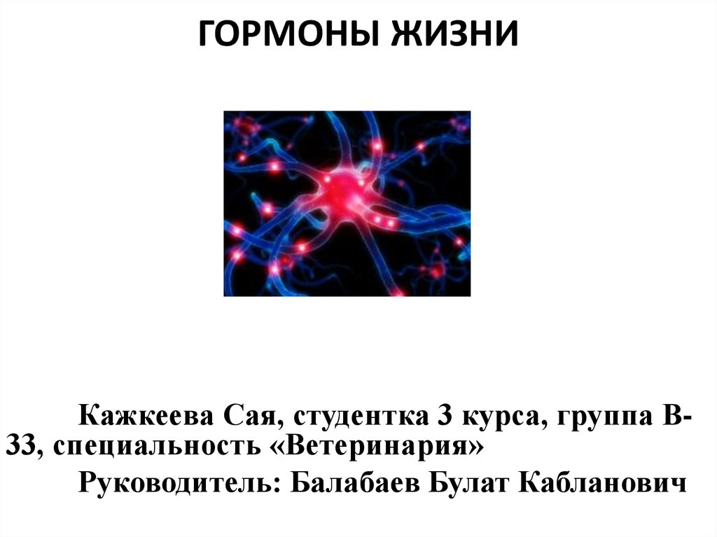 Проект гормоны жизни