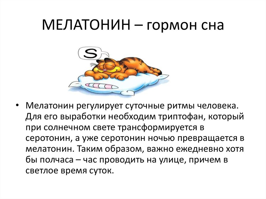 Во сне дают еду. Мелатонин гормон сна. Гормоны влияющие на сон. Мелатонин гормон сна выработка. Какой гармон вырабатываеися ночь.