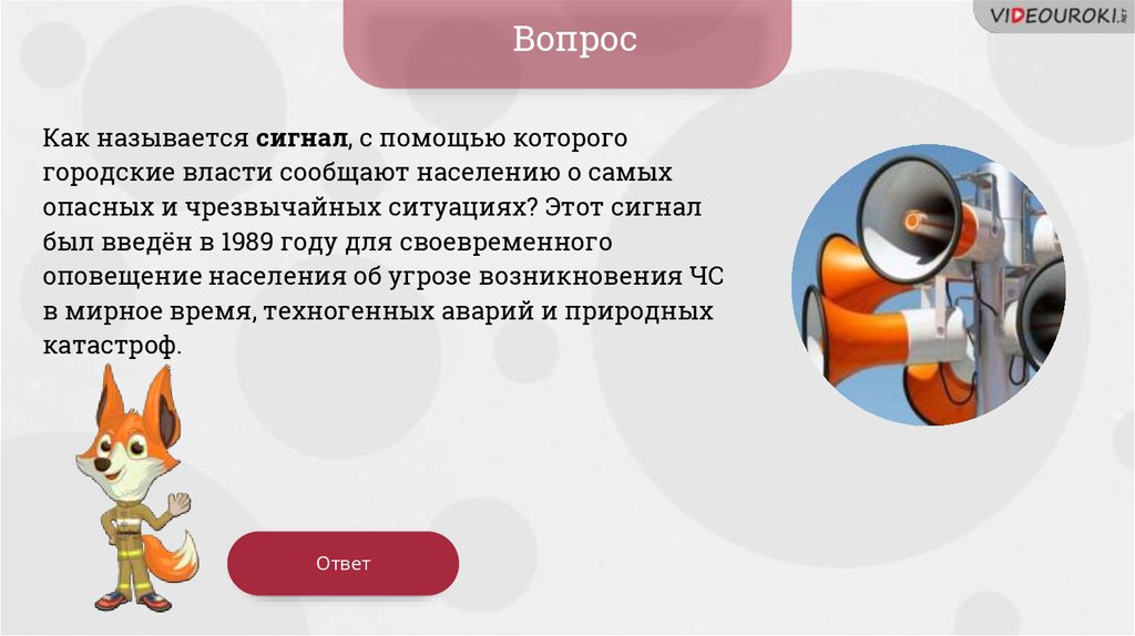 О чем поется в песне «Гражданской обороны» «Вечная весна»?