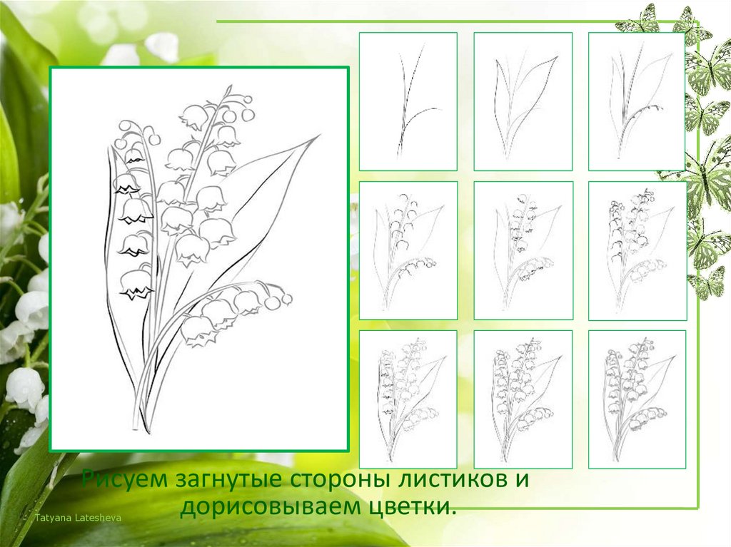 Рисуем ландыши поэтапно