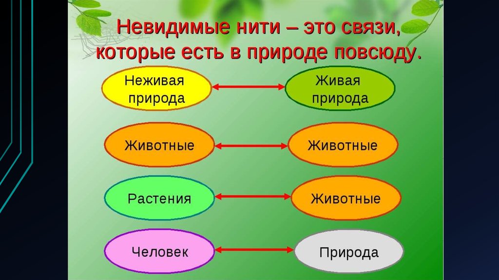 Приведи свой пример невидимых нитей в весеннем лесу изобрази в виде схемы