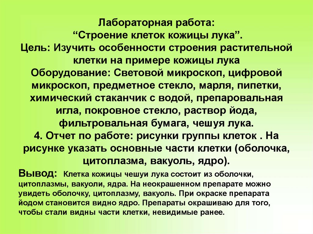 Строение клетки вывод. Лабораторная работа 5 класс строение клетки кожицы лука. Лабораторная работа по биологии 5 класс строение клетки кожицы лука. Лабораторная работа с луком. Лабораторная работа строение клеток кожицы лука.