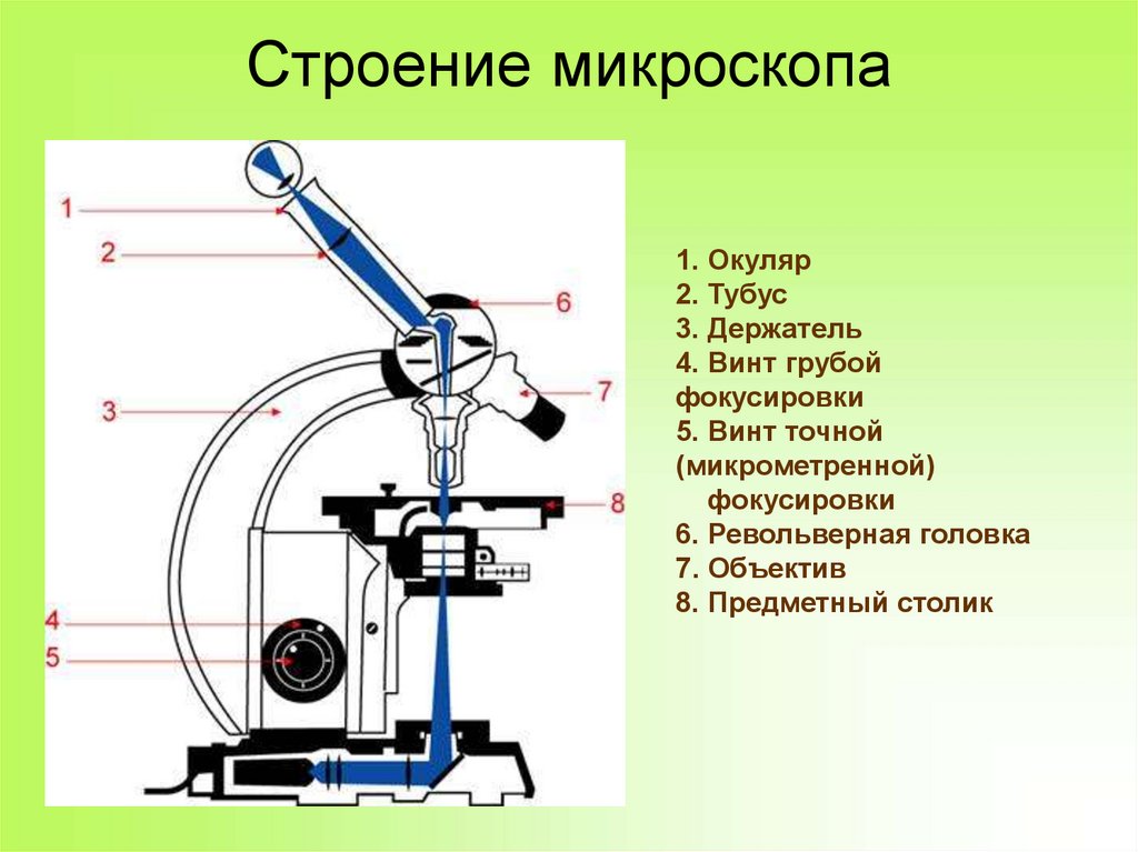 Световой микроскоп биология 5. Цифровой микроскоп электронный строение 5 класс. Строение микроскопа винты. Схема строения цифрового микроскопа. Строение тринокулярного микроскопа.