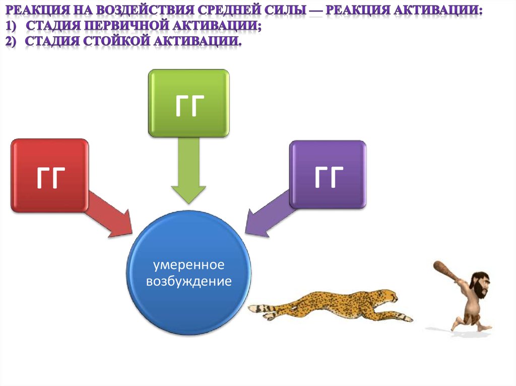 Теория функциональных систем - презентация онлайн