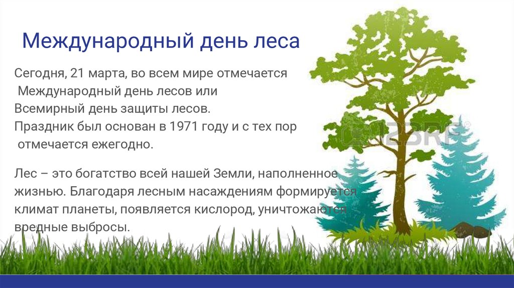 День леса отчет в детском саду. Международный день лесов. Международныйдерь лесов.