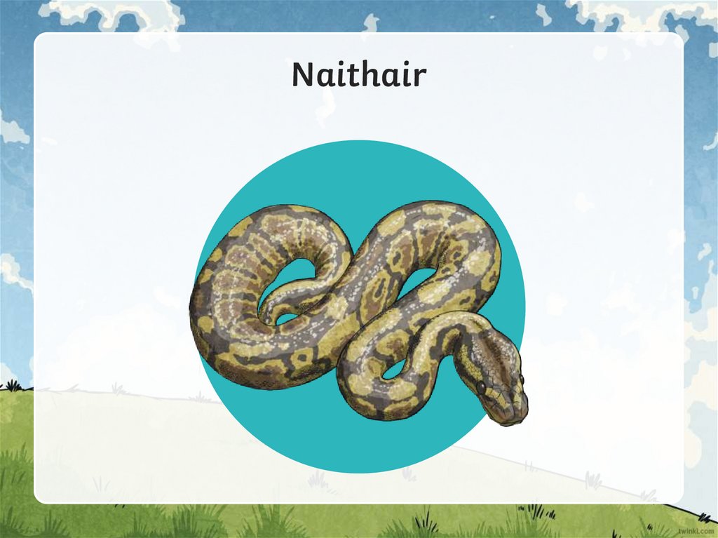 Naithair