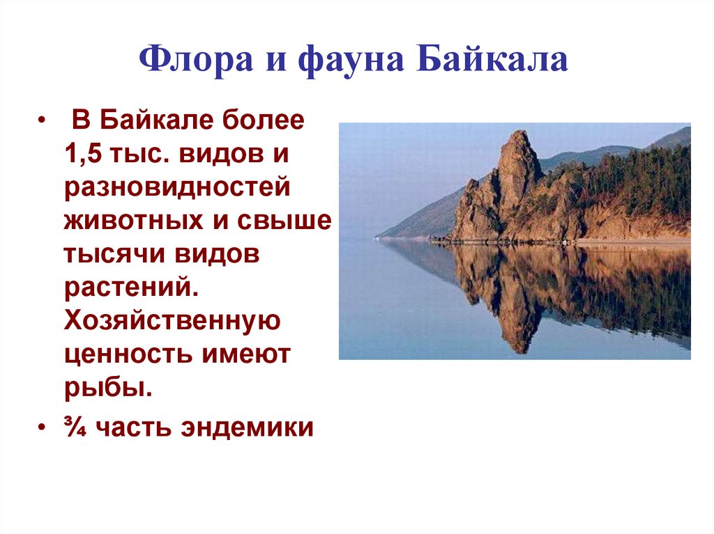 Презентация на тему байкал жемчужина сибири