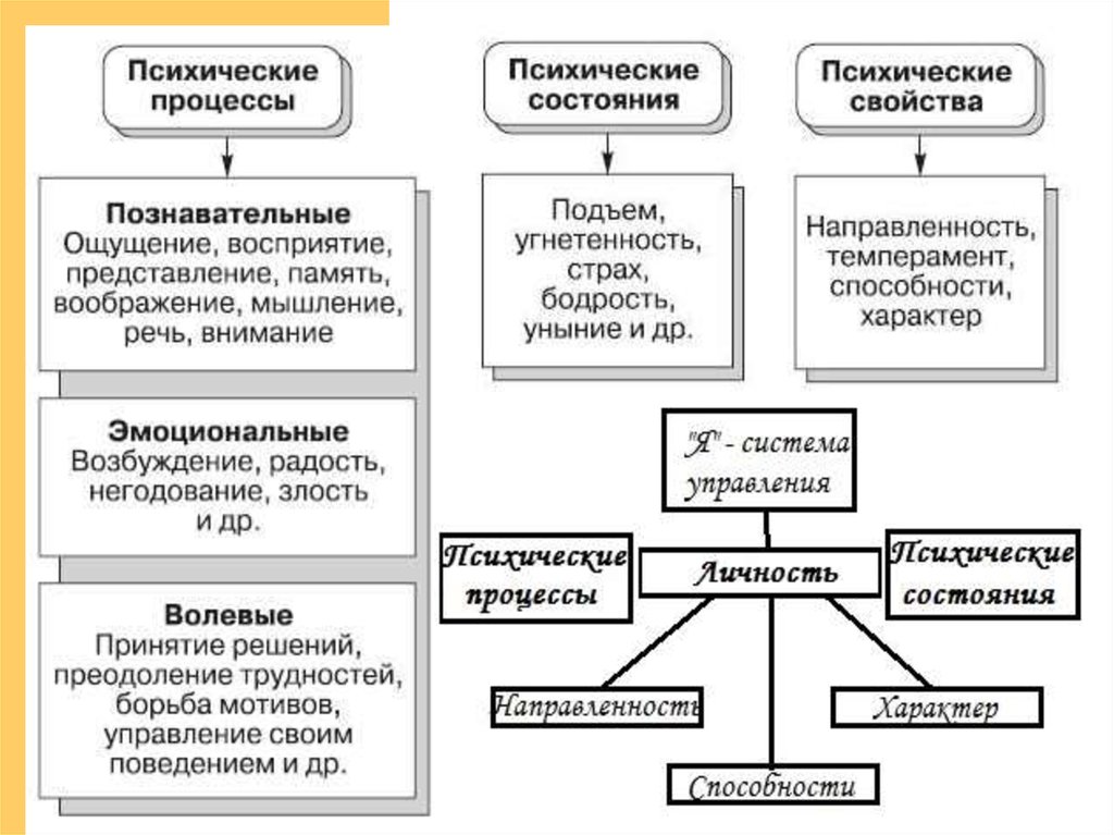 Виды психических процессов. Борьба мотивов психический процесс.