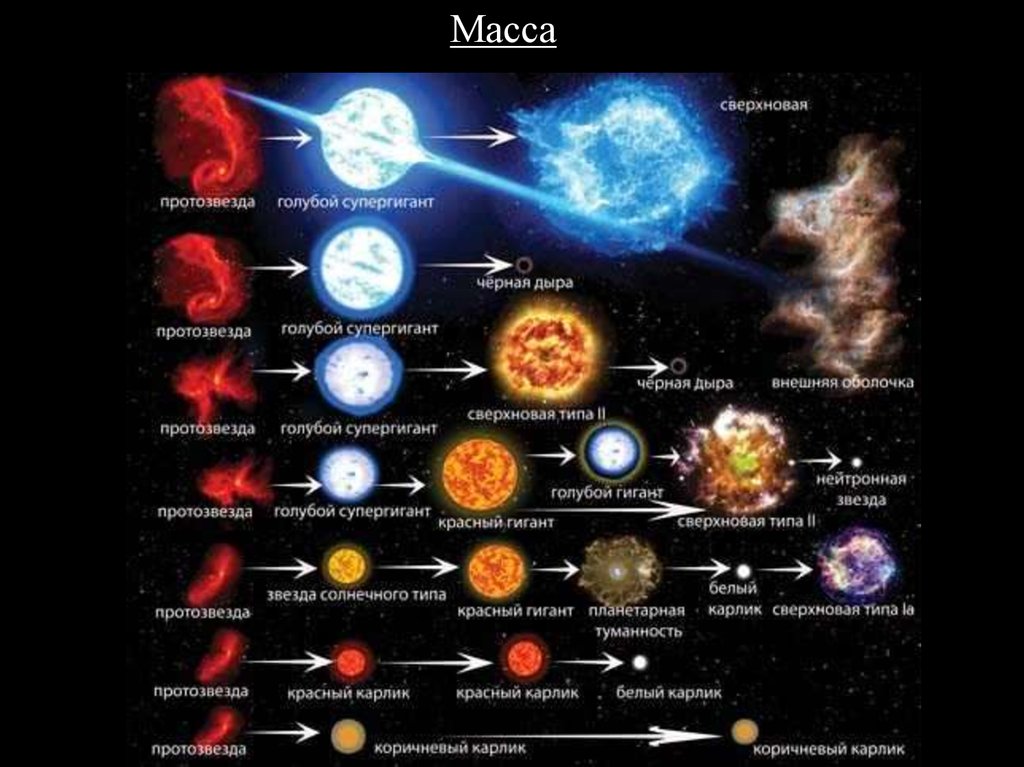 Этапы жизни планеты. Этапы эволюции звезд протозвезда. Жизненный цикл сверхновой звезды. Эволюция звезд сверхновые звезды. Сверхновая стадия эволюции солнца.