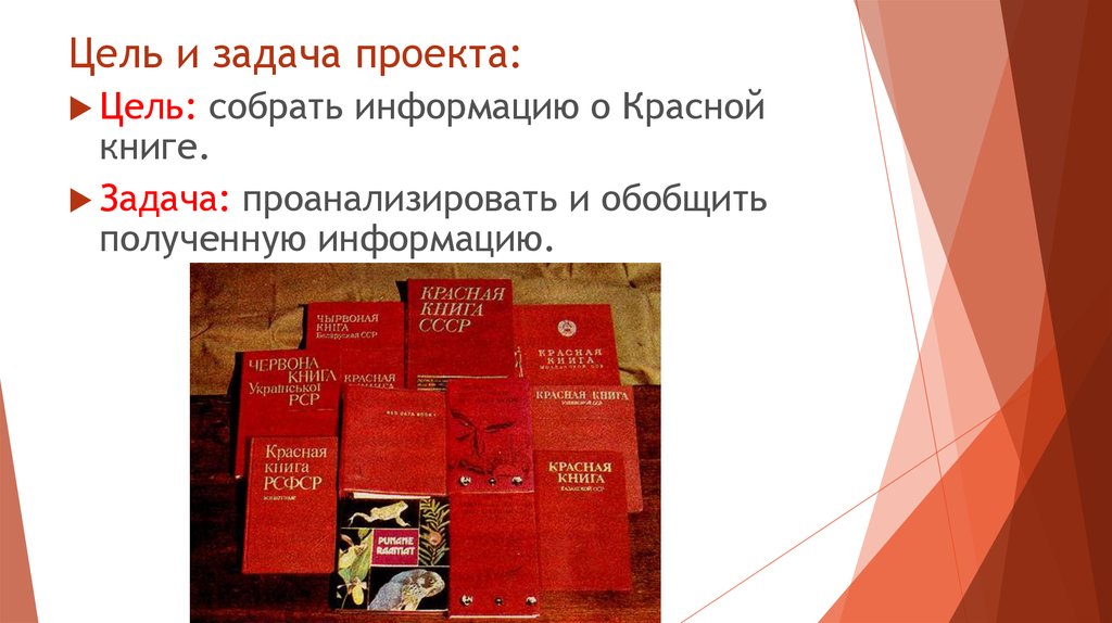 Проблема исследования в проекте красная книга