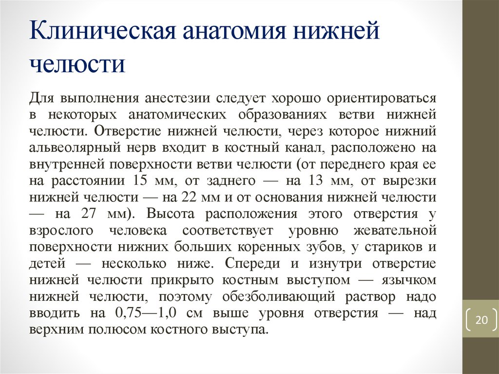 Дробинская возрастная анатомия. Клиническая анатомия челюстей Смирнов.